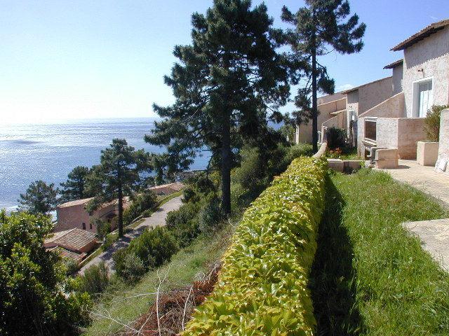 Residence Monte Marina Conca Extérieur photo